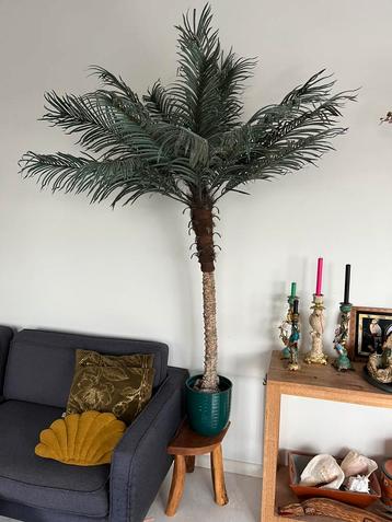 Palmboom kunst beschikbaar voor biedingen