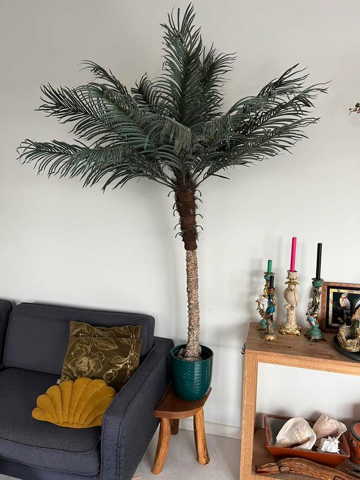 Palmboom kunst, Huis en Inrichting, Woonaccessoires | Kunstplanten en Kunstbloemen, Gebruikt, Ophalen