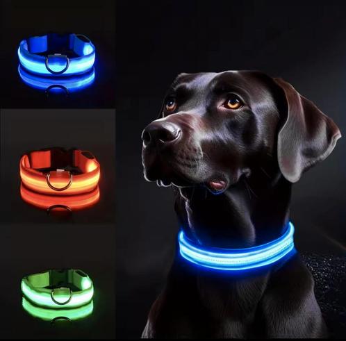 lichtgevend Led Hondenhalsband of kat Voor Nachtveiligheid, Dieren en Toebehoren, Hondenhalsbanden en Penningen, Nieuw, Verlicht