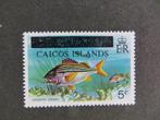 A09684: Turks & Caicos Islands  5 c, Ophalen of Verzenden, Noord-Amerika