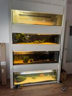 Aquariumspelling bakken, Dieren en Toebehoren, Vissen | Aquaria en Toebehoren, Ophalen, Gebruikt