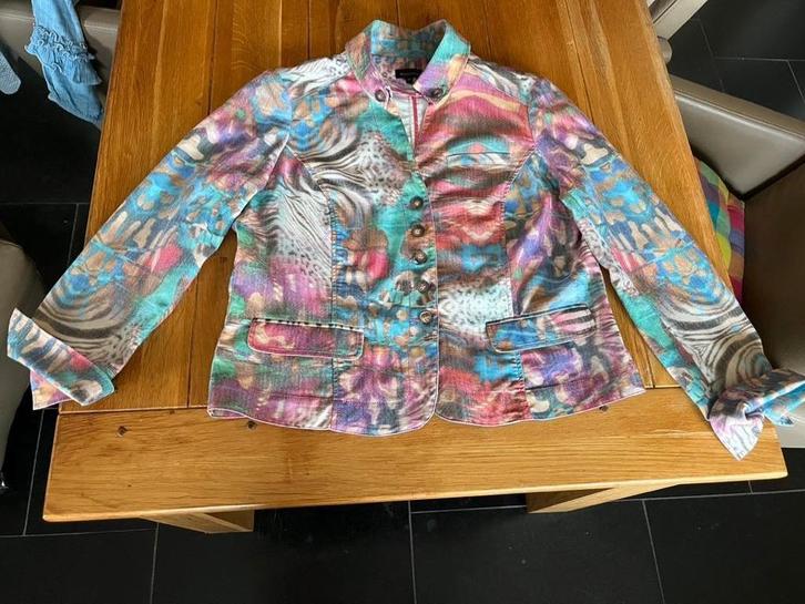 Roze/blauw/bruin Witteveen jasje, maat 44, Kleding | Dames, Jasjes, Kostuums en Pakken, Zo goed als nieuw, Maat 42/44 (L), Overige kleuren