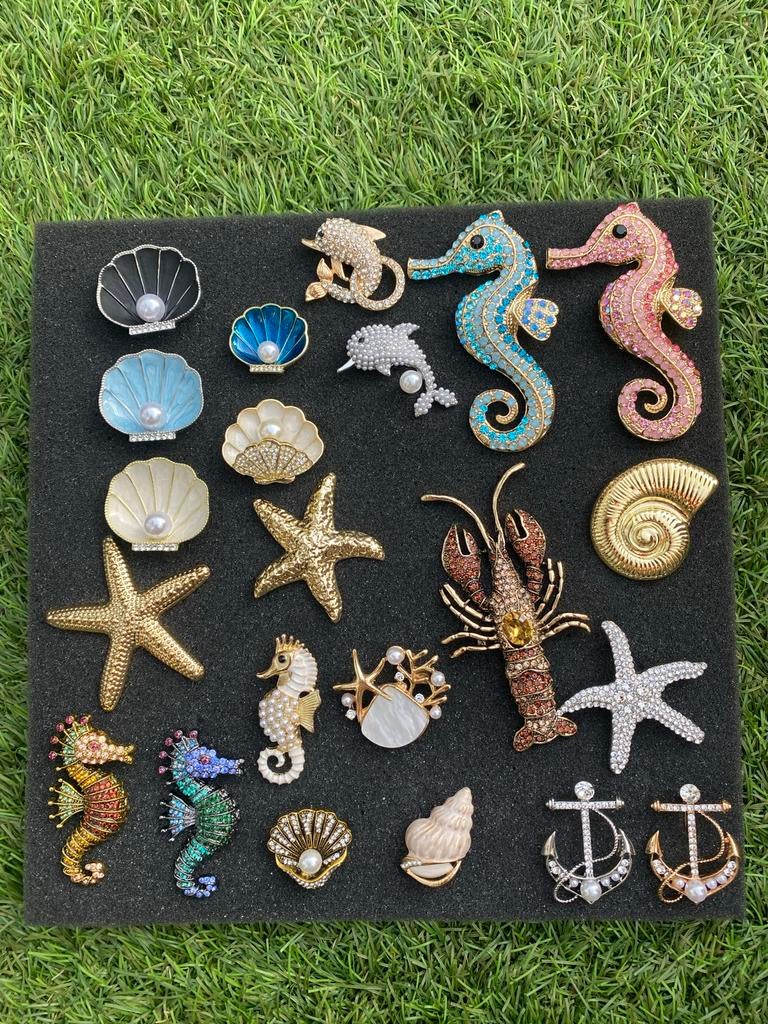 Zee Broches- zeepaard zeester schelp, Sieraden, Tassen en Uiterlijk, Broches, Overige materialen, Overige kleuren, Minder dan 4 cm