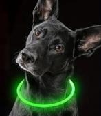 LED halsband / ketting voor honden. NIEUW ! Voor alle maten!, Ophalen of Verzenden, Verlicht, Nieuw