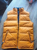 Gaastra bodywarmer maat 176, Jongen of Meisje, Nieuw, Ophalen of Verzenden, Gaastra