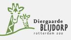 5 toegangskaarten Diergaarde Blijdorp - Geldig t/m 31-03-'26, Tickets en Kaartjes, Recreatie | Dierentuinen, Drie personen of meer