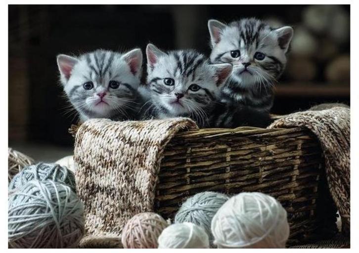 Puzzel schattige kittens (1000 stukjes) (Rebo), Hobby en Vrije tijd, Denksport en Puzzels, Zo goed als nieuw, Legpuzzel, 500 t/m 1500 stukjes