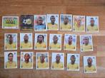 Panini WK 2010 Zuid Afrika, Ophalen of Verzenden, Zo goed als nieuw, Plaatje