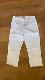 Capri wit maat 38, Kleding | Dames, Maat 38/40 (M), Wit, Nieuw, Ophalen of Verzenden