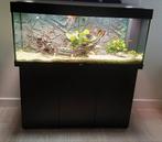 Juwel aquarium., Dieren en Toebehoren, Vissen | Aquaria en Toebehoren, Ophalen of Verzenden, Zo goed als nieuw, Gevuld zoetwateraquarium