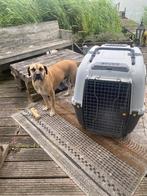 Bench transportbox hond groot, Ophalen, Zo goed als nieuw