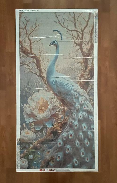 Nieuwe Diamond Painting PAUW 60x120cm / vierkante steentjes, Hobby en Vrije tijd, Overige Hobby en Vrije tijd, Nieuw, Ophalen of Verzenden
