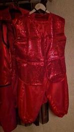 Loopgroep Met carnaval over de ROOIE!, Ophalen of Verzenden, Zo goed als nieuw