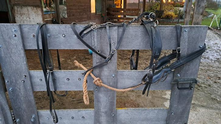 Enkelspan men tuig kleine shetland of mini paardje, Dieren en Toebehoren, Paarden en Pony's | Hoofdstellen en Tuigage, Gebruikt