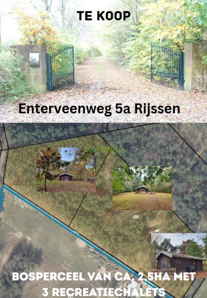 Groot bosperceel 2,5ha met 3 recreatiewoningen te Rijssen, Huizen en Kamers, Recreatiewoningen te koop, Overijssel, Chalet, Verkoop zonder makelaar