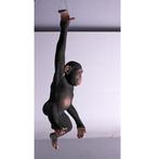 Hanging Chimpansee – Aap beeld Hoogte 98 cm, Verzamelen, Dierenverzamelingen, Ophalen, Nieuw