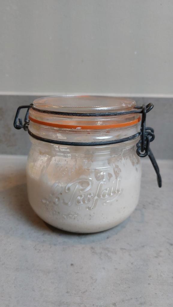 Zuurdesem starter, Diversen, Levensmiddelen, Ophalen