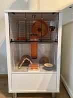 Omlet Qute kooi voor hamsters en gerbils (wit), Ophalen, Kooi, Gebruikt, 60 tot 90 cm