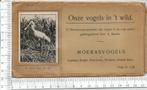12 stereoscoop opnemen Onze vogels in 't wild, Verzamelen, Gebruikt, Foto, Ophalen of Verzenden, 1940 tot 1960