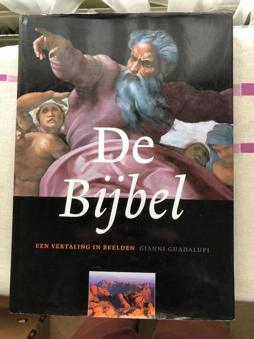 De Bijbel, een vertaling in beelden, Boeken, Godsdienst en Theologie, Zo goed als nieuw, Christendom | Katholiek, Ophalen of Verzenden