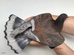 Koppel kleurpostduiven rubella kras, Dieren en Toebehoren, Vogels | Duiven, Meerdere dieren