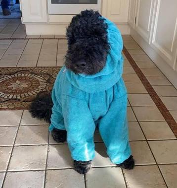 Nieuwe SuperFurDogs hondenbadjas M – aquablauw beschikbaar voor biedingen