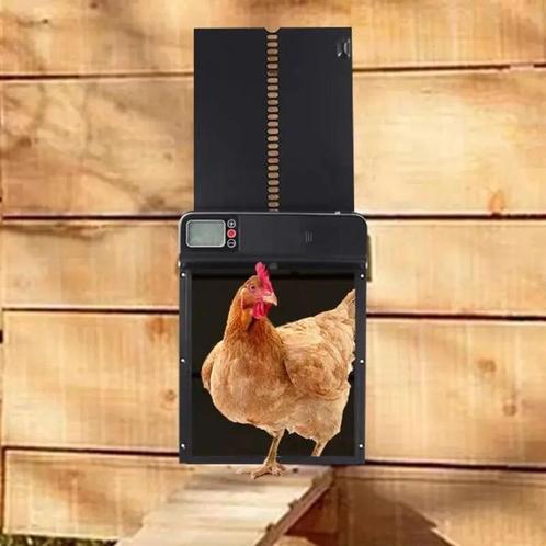 Automatische Kippenhok Deur - Met Timer, Dieren en Toebehoren, Pluimvee | Toebehoren, Nieuw, Ophalen of Verzenden