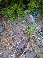 Lavastenen, Tuin en Terras, Ophalen, Gebruikt, Beige, Overige typen