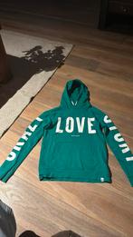 Groene hoodie niknik maat 164, Gebruikt, Meisje, Trui of Vest, Ophalen of Verzenden