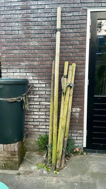 Boompalen beschikbaar voor biedingen