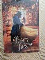 Disney plaat, Verzamelen, Disney, Ophalen of Verzenden