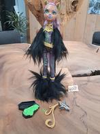 Monster high pop, Kinderen en Baby's, Speelgoed | Poppen, Ophalen of Verzenden, Zo goed als nieuw, Overige typen