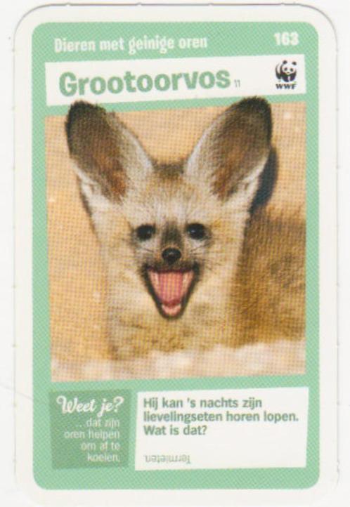 Super dieren no.163 grootoorvos [2791]  [VeOvSu], Verzamelen, Supermarktacties, Albert Heijn, Ophalen of Verzenden