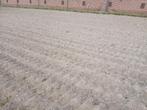 Toppads/witzand, Dieren en Toebehoren, Paarden en Pony's | Overige Paardenspullen, Ophalen, Overige soorten
