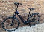 PEGASUS RAVENNA EVO 8, 500Wh accu, 60cm **TOPSTAAT**, Fietsen en Brommers, Elektrische fietsen, Zo goed als nieuw, 59 cm of meer