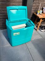 Electrolux Camping Koelkast/Koelbox, Caravans en Kamperen, Koelboxen, Ophalen, Zo goed als nieuw, Koelbox, Elektrisch