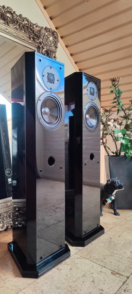 Driade 102 Zuilspeaker - High Gloss Piano-black., Audio, Tv en Foto, Luidsprekers, Zo goed als nieuw, Front, Rear of Stereo speakers