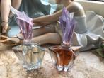 Thierry Mugler Parfum Garden Of Stars miniaturen vol, Verzamelen, Parfumverzamelingen, Ophalen of Verzenden, Miniatuur, Zo goed als nieuw