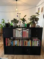 Kallax kast Ikea, Ophalen, 100 tot 150 cm, 100 tot 150 cm, 25 tot 50 cm