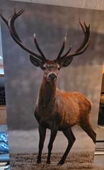 Groot canvas schilderij, Ophalen, Gebruikt