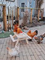 Picknick tafel voor kippen of konijnen, Dieren en Toebehoren, Pluimvee