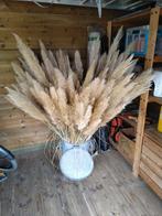 Verse pampas gras pluimen, 160 stuks., Ophalen, Nieuw