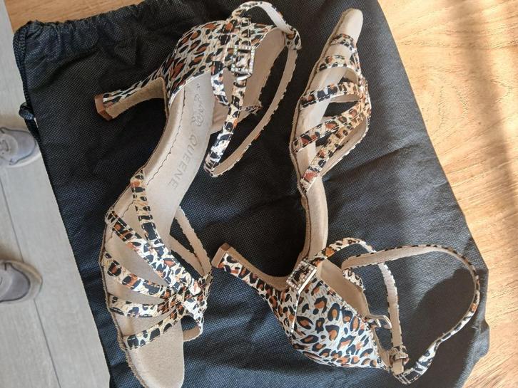 Dames zgan. salsa, tango mt 4.5 hak= 6.5 cm. Tot 20 november, Kleding | Dames, Schoenen, Zo goed als nieuw, Dansschoenen, Overige kleuren