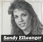 Sandy Ellwanger ‎– Sandy Ellwanger CD, Verzenden, Zo goed als nieuw