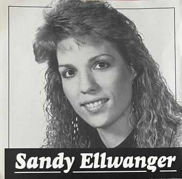 Sandy Ellwanger ‎– Sandy Ellwanger CD beschikbaar voor biedingen