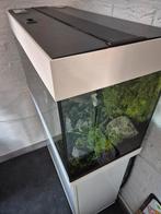 Aquarium wit juwel 125 lt. Zonder vissen decoratie en filter, Dieren en Toebehoren, Vissen | Aquaria en Toebehoren, Ophalen, Leeg aquarium