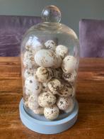 Glazen stolp met kwarteleitjes, Ophalen, Zo goed als nieuw