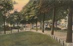 ZAANDAM Zuiddijk Tulpkaart, Verzamelen, Ansichtkaarten | Nederland, Verzenden, Voor 1920, Ongelopen, Noord-Holland