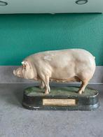 Zeer zeldzaam gipsen beeld varken. Schönborn, Antiek en Kunst, Ophalen of Verzenden