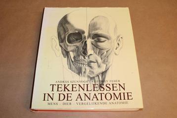 Dikke pil - Tekenlessen in de Anatomie beschikbaar voor biedingen